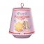 Bauli Pandoro Di Verona italienischer Hefekuchen mit Puderzucker 500g - 1