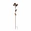 Blumenstecker Rostoptik Blüten Celia - 1