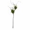 Zweig mit Vogelnestern Kunstpflanze Flora - 1