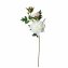 Pfingstrose Weiß 74 cm Kunstblume Flora - 1