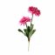 Kunstblume Margerite, Pink Flora - 1