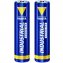 Micro-Batterien 2er Set (AAA) - 1