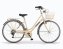 Citybike 28 Zoll " Silvery" Woman - 1