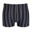 Mikrofaser-Streifenshorts - 4er Pack - 1