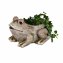 Pflanzgefäß Steinoptik Frosch - 1