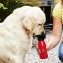 Hunde-Reisetrinkflasche - 1