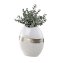 Vase Oval 20 Goldrand - 1