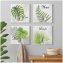 Wandhaken 4er-Set Leaf - 1