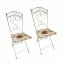 Metallstuhl 2er Set Flowers and Plants - 1