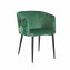 Esszimmerstuhl Destin Leaf Grün - 1