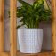 Blumentopf Nessa Hydro 21,5 cm Weiß - 1