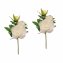 Pfingstrose 2er Set Weiß Flora 38 cm - 1