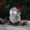 Schneeeule mit Augenbewegung - 1