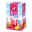 Teekanne frio Himbeere Zitrone Früchtetee kalt aufgießen 45g - 1