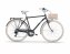 Citybike 28 Zoll New Apostrophe Man - 1