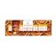 Marzipan Pralinen Typ Zimtschnecke in Vollmilchschokolade Packung 100g - 1