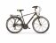 Trekkingbike SPLIT Man  28 Zoll - 1