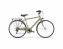 Trekkingbike 28 Zoll  TOURING man, oliv - 1