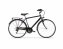 Trekkingbike 28 Zoll  TOURING man, schwarz - 1