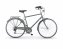 Citybike 28 Zoll " Silvery" Man, oliv - 1