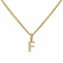 Halskette Gold 375 mit Anhänger 42/45cm lang Buchstabe F - 1