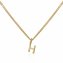 Halskette Gold 375 mit Anhänger 42/45cm lang Buchstabe H - 1