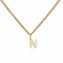 Halskette Gold 375 mit Anhänger 42/45cm lang Buchstabe N - 1