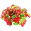Doppelkirschen fruchtiges Fruchtgummi mit Kirsch Geschmack 300g - 1