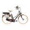 Stylisches Holland E-Bike in den Farben braun und elfenbein