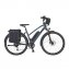 Komfortables Alu-City-Trekking-E-Bike in olivgrün