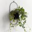 Wandhalter Blumentopf - 1