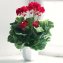 Kunstblume Geranie - 1