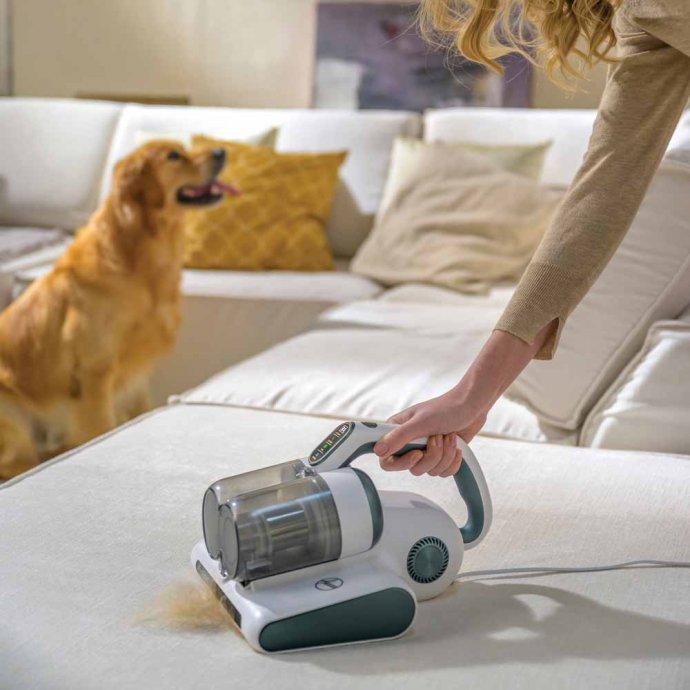 Hoover-Staubsauger