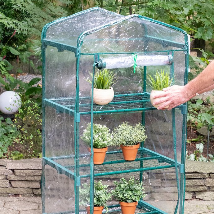 Pflanzen-Gewächshaus