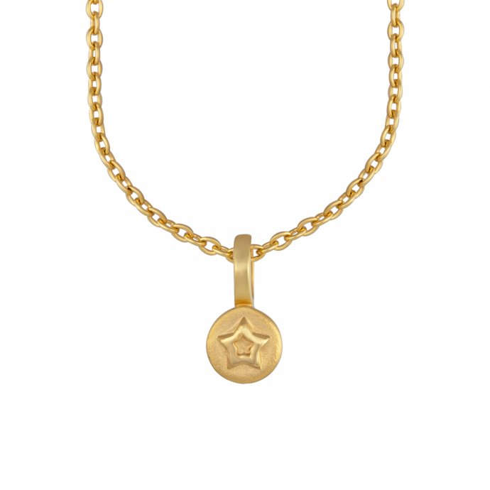 Anhänger mit Kette 925/- Sterling Silber vergoldet Stern