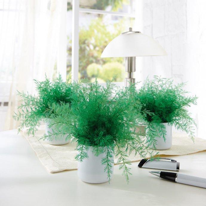 Mückenabschreckende „Neptunus” 3er-Set