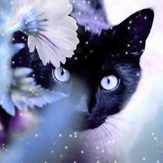 Diamant-Malerei, Katze
