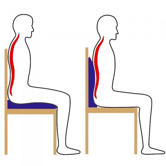 Sitz- und Rückenkissen 