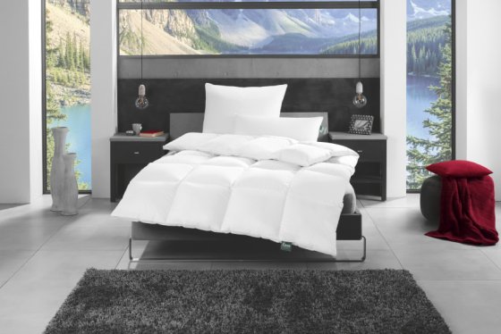 Sommerbettdecke Daune Canada 155x220 cm frankenstolz 