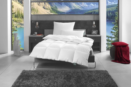 Kassettenbettdecke Daune Canada 155x220 cm Extra Warm frankenstolz 