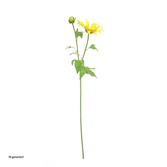 Chrysantheme 74 cm Gelb 