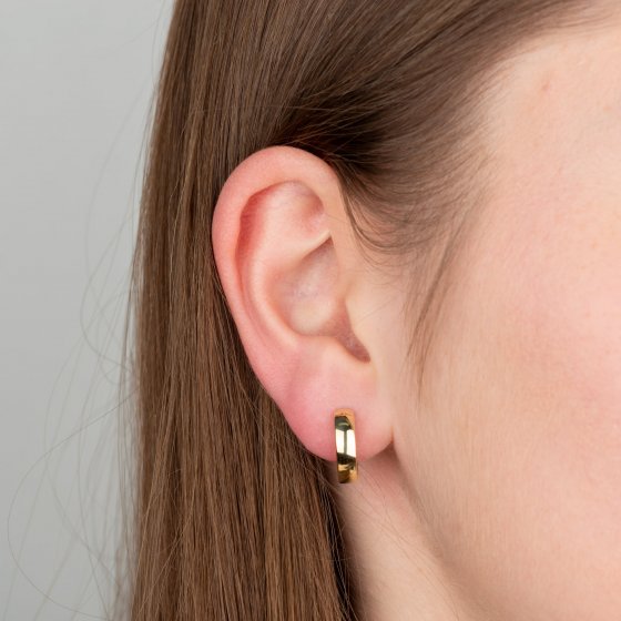 Ohrringe Gold 585 hochglanzpoliert 3,9mm breit, 15,2mm Durchmesser 