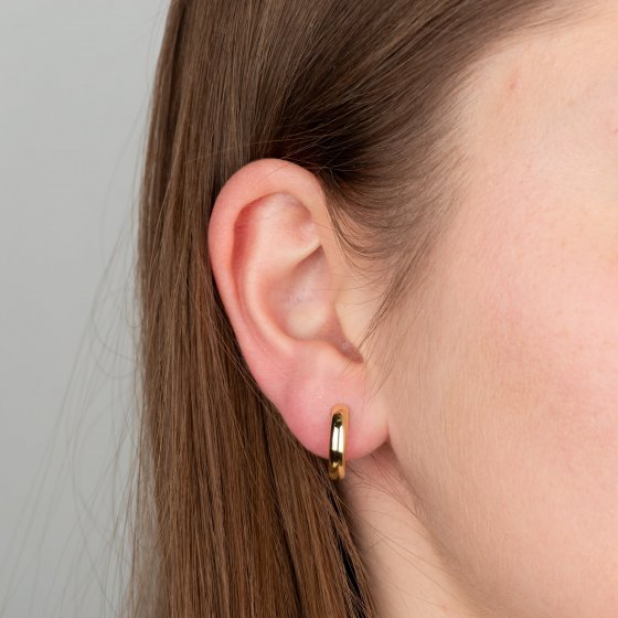 Ohrringe Gold 585 hochglanzpoliert 3,3mm breit, 15,5mm Durchmesser 