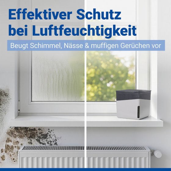 Raumentfeuchter Mod. Cube Grau 1000 g, 2er Set, beugt Schimmel und Gerüchen vor