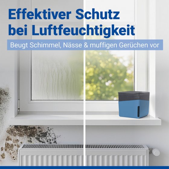 Raumentfeuchter Mod. Cube Blau 500 g, 2er Set, beugt Schimmel und Gerüchen vor