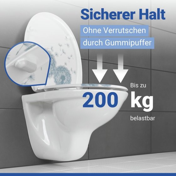 WC Sitz Mod. Astera, Toilettendeckel mit Motiv und Absenkautomatik 