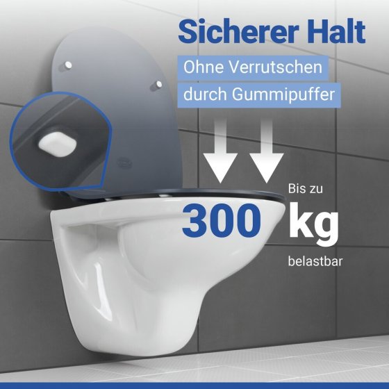 WC Sitz Mod. Sedilo Grau matt, Toilettendeckel in D-Form mit Absenkautomatik 
