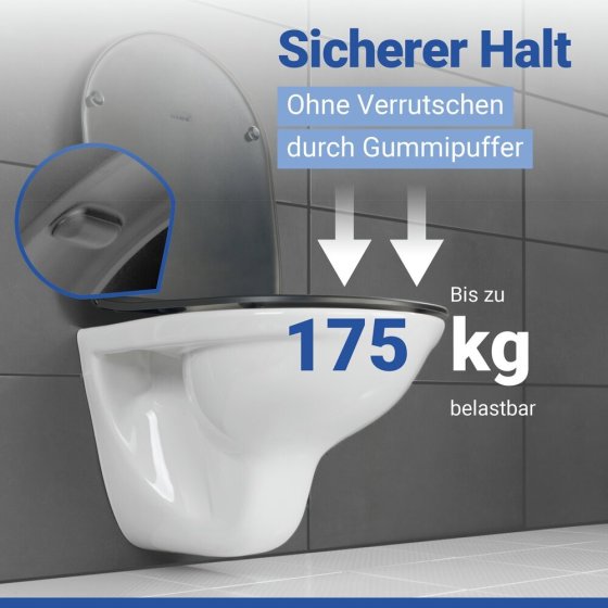 WC Sitz Mod. Galati Anthrazit matt, Toilettendeckel in D-Form mit Absenkautomatik 