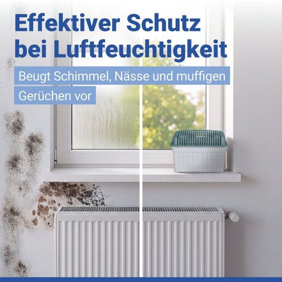 Luftentfeuchter 1 kg Grau, inkl. 1 Nachfüller, für Räume bis 80 m³ 