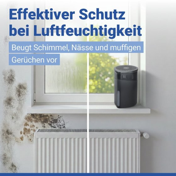 Raumentfeuchter Mod. Drop Schwarz 1000 g, 2er Set, für Räume bis ca. 80 m³ 